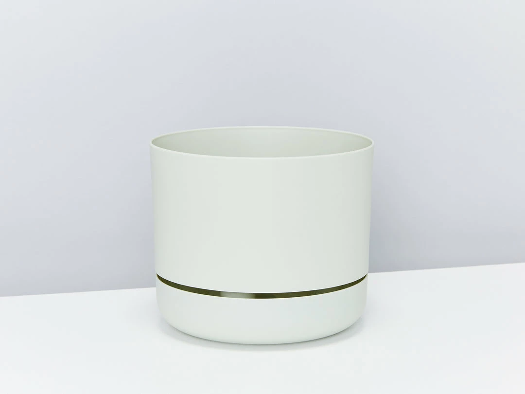 Pot + Plant Gift Box Cyrtomium Falcatum Maritimum - Pot + Plant + Soil Border Plants 9 Pot + Plant Gift Box Cyrtomium Falcatum Maritimum - Pot + Plant + Soil Border Plants