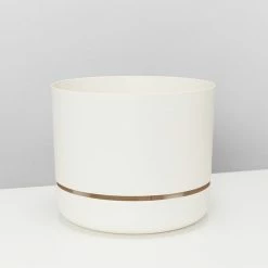 Indoor Garden Plant Packs Mr Kitly 3 Plants & 3 Pots - 250mm