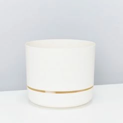 Pot + Plant Gift Box Cyrtomium Falcatum Maritimum - Pot + Plant + Soil Border Plants 26 Pot + Plant Gift Box Cyrtomium Falcatum Maritimum - Pot + Plant + Soil Border Plants