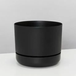 Indoor Garden Mr Kitly 3 Plants & 3 Pots - 215mm