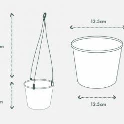 Pot + Plant Gift Box Pothos Snow Queen - Pot + Plant + Soil Easy Care Plants