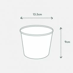 Indoor Garden Pool Friendly Plants Sansevieria Cylindrica Snake Plants 17 Indoor Garden Pool Friendly Plants Sansevieria Cylindrica Snake Plants