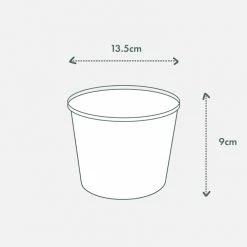 Urban Eden Oatmeal Vessel + Potted Plant