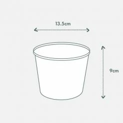 Indoor Garden Snake Plants Sansevieria Trifasciata Moonshine With Pot Option