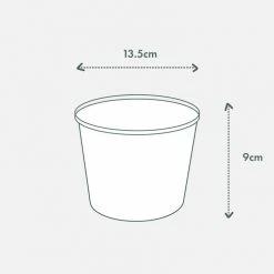 Pot + Plant Gift Box Aglaonema Thai Snowflake - Pot + Plant + Soil