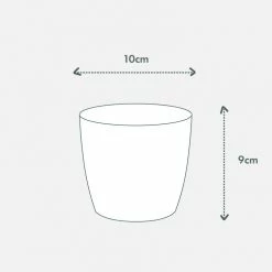 Elho Plant + Pot Multi Packs Mini Eco Gifting Pots With Cacti