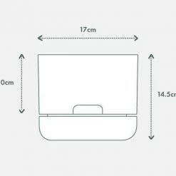 Pot + Plant Gift Box Ground Covers Schlumbergera Truncata - Pot + Plant + Soil