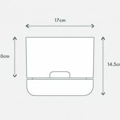 Indoor Garden Pothos 'Devils Ivy' Manjula Pothos (Epipremnum ‘Manjula’) - Pot + Plant + Soil