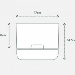 Pot + Plant Gift Box Monstera Deliciosa Tauerii - Pot + Plant + Soil Birthday