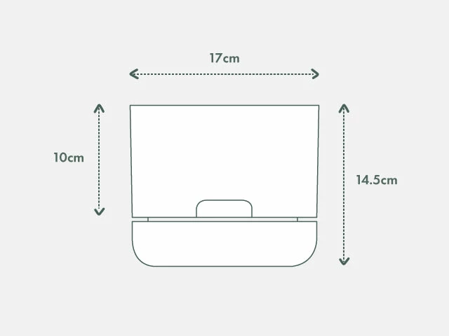 Pot + Plant Gift Box Border Plants Sansevieria Trifasciata Superba - Plant + Pot + Soil 13 Pot + Plant Gift Box Border Plants Sansevieria Trifasciata Superba - Plant + Pot + Soil