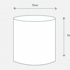 Urban Eden Mocha Vessel + Potted Plant