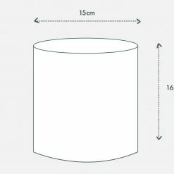 Urban Eden Oatmeal Vessel + Potted Plant