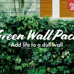 Indoor Garden Green Wall Pack - Indoors