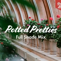 Shrubs Border Plants Potted Pretties Full Shade Mix