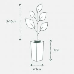 Indoor Garden Air Purifier Houseplant Pack 🌱 Air Purifying