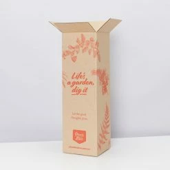 Pot + Plant Gift Box Jade Pothos - Pot + Plant + Soil