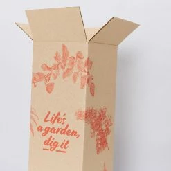 Pot + Plant Gift Box Rhaphidophora Gift Box - Pot + Plant + Soil + Double Arch Stake Easy Care Plants