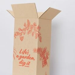 Pot + Plant Gift Box Monstera Taurii +Pot + Plant + Soil + Arch Stakes