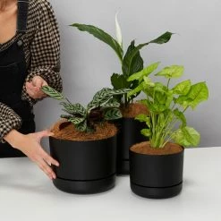 Mr Kitly Pot Clusters - 3 Different Sizes