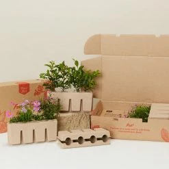 Shrubs A Mixed Box Full Of Outdoor Plants Plant Packs