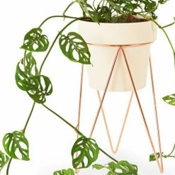 Bendo Plant Stakes & Stands 'PLANT' Indoor Plant Stand & Medium Pot Bundle