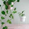 Bendo Plant Stakes & Stands 'TALL' Indoor Plant Stand & Medium Pot Bundle