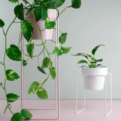 Bendo Plant Stakes & Stands 'TALL' Indoor Plant Stand & Medium Pot Bundle