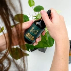 The Plant Runner Indoor Plant Care Pack Birthday