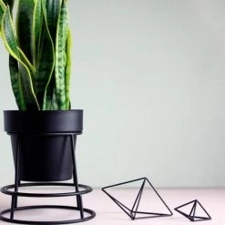Bendo Plant Stakes & Stands 'POTPLANT' Indoor Plant Stand & Medium Pot Bundle