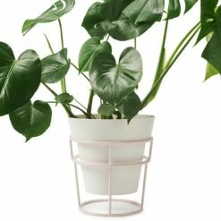 Bendo Plant Stakes & Stands 'POTPLANT' Plant Stand & Large Pot Bundle