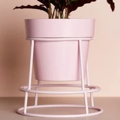 Bendo Plant Stakes & Stands 'POTPLANT' Indoor Plant Stand & Medium Pot Bundle