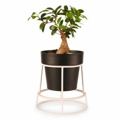 Bendo Plant Stakes & Stands 'POTPLANT' Indoor Plant Stand & Medium Pot Bundle