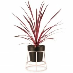 Bendo Plant Stakes & Stands 'POTPLANT' Indoor Plant Stand & Medium Pot Bundle