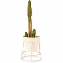 Bendo Plant Stakes & Stands 'POTPLANT' Indoor Plant Stand & Medium Pot Bundle