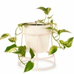 Bendo Plant Stakes & Stands 'POTPLANT' Indoor Plant Stand & Medium Pot Bundle