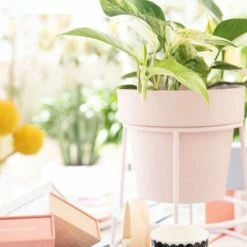 Bendo Plant Stakes & Stands 'POTPLANT' Indoor Plant Stand & Medium Pot Bundle