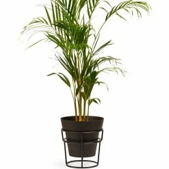 Bendo Plant Stakes & Stands 'POTPLANT' Plant Stand & Large Pot Bundle 7 Bendo Plant Stakes & Stands 'POTPLANT' Plant Stand & Large Pot Bundle