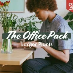 Indoor Garden Plant Packs The Office Indoor Plant Box - 85mm