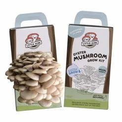 Little Acre Gourmet Mushrooms Gift Kits Pearl Oyster Mushroom Grow Kit