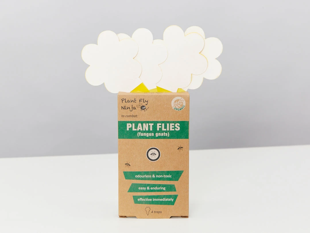 Plants In A Box Fungal Gnat Pest Prevention Pack Gift Kits 6 Plants In A Box Fungal Gnat Pest Prevention Pack Gift Kits