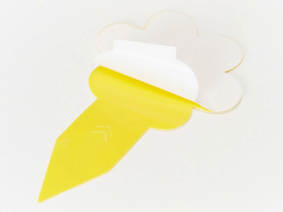 Plants In A Box Fungal Gnat Pest Prevention Pack Gift Kits 5 Plants In A Box Fungal Gnat Pest Prevention Pack Gift Kits