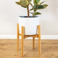 Plants In A Box Climbing Plants Adjustable Bamboo Plant Stand - Natural
