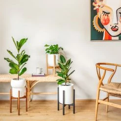 Plants In A Box Adjustable Bamboo Plant Stand - Black