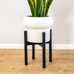 Plants In A Box Adjustable Bamboo Plant Stand - Black