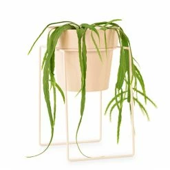 Bendo 'SHRUB' Plant Stand Mini & Small Pot Bundle Pots & Hanging Baskets