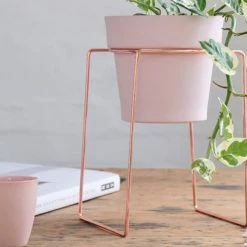 Bendo 'SHRUB' Plant Stand Mini & Small Pot Bundle Pots & Hanging Baskets