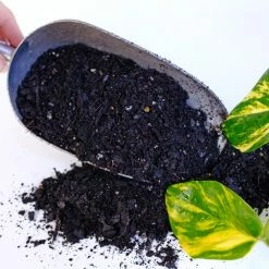 Rocky Point Composting Premium Potting Mix Soil 30L