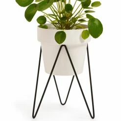 Bendo Pots & Hanging Baskets 'SPROUT' Plant Stand Mini & Small Pot Bundle