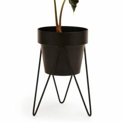 Bendo Pots & Hanging Baskets 'SPROUT' Plant Stand Mini & Small Pot Bundle