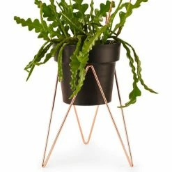 Bendo Pots & Hanging Baskets 'SPROUT' Plant Stand Mini & Small Pot Bundle